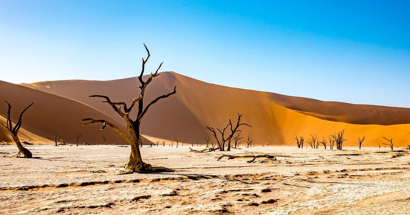 Où observer les étoiles dans le désert de Namibie : les sites qui tiennent la route