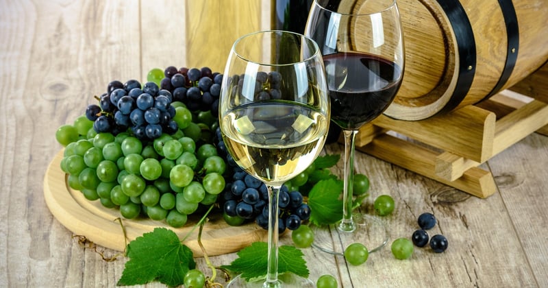 Bordeaux secret : la découverte des vins et vignobles cachés