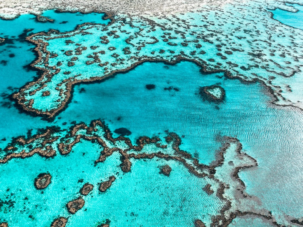 grande barrière de corail australie